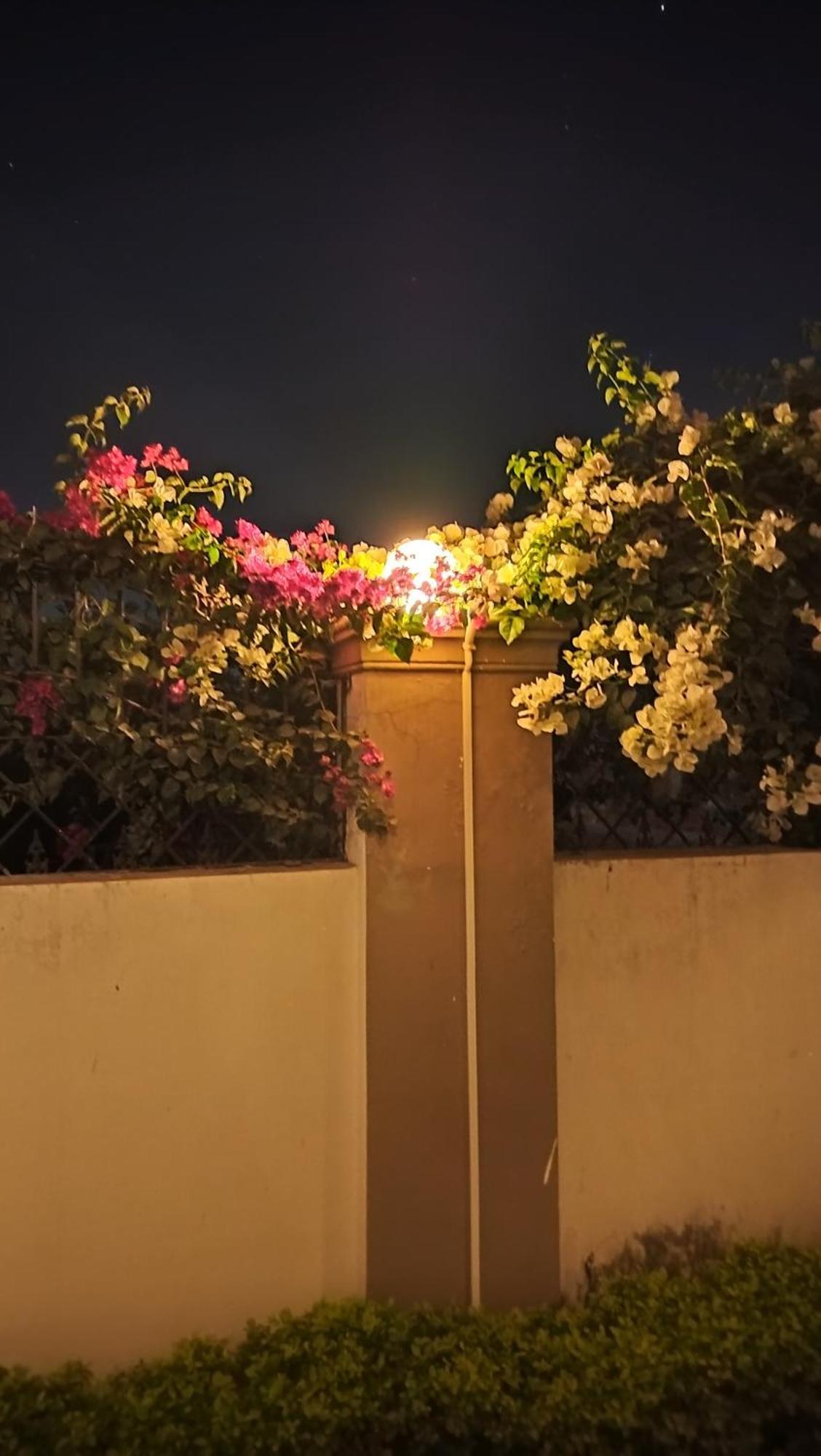 Shree Nanda Guest House Varanasi Eksteriør bilde