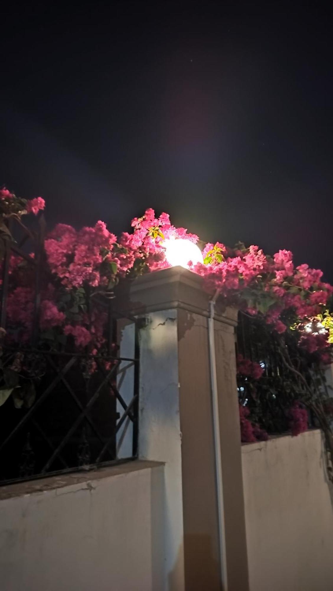 Shree Nanda Guest House Varanasi Eksteriør bilde